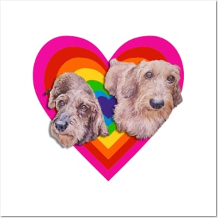 Super cute wirehaired dachshunds on a vibrant heart Posters and Art